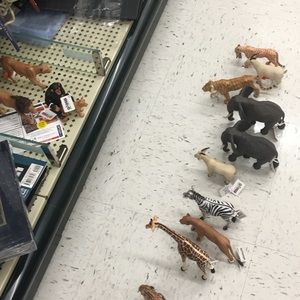 Meet your Posher, Nina